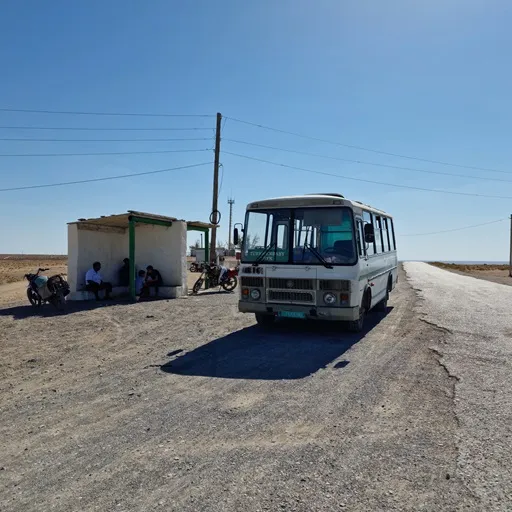 Bushalte in de Karakoemwoestijn, Tadzjikistan