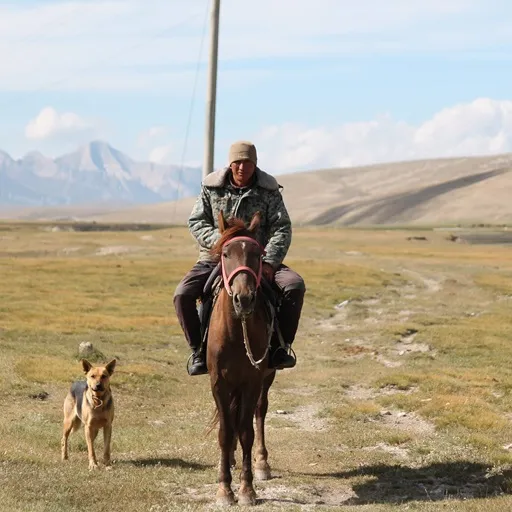 Herder in de Tiensjan, Kyrgizië
